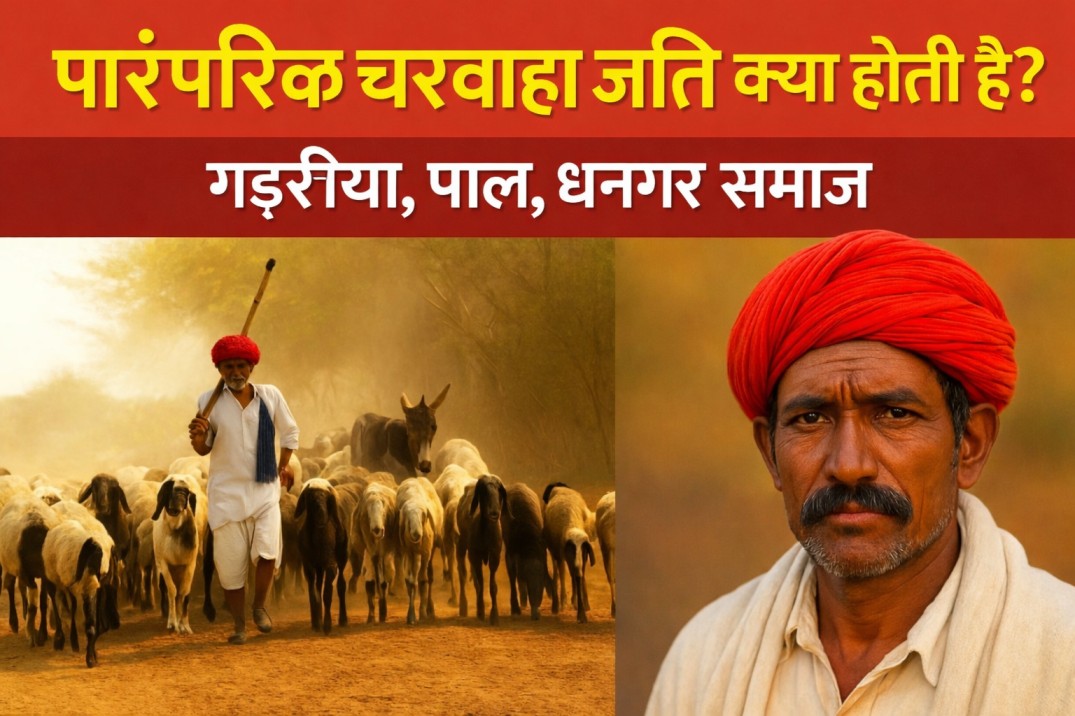 पारंपरिक चरवाहा जाति
